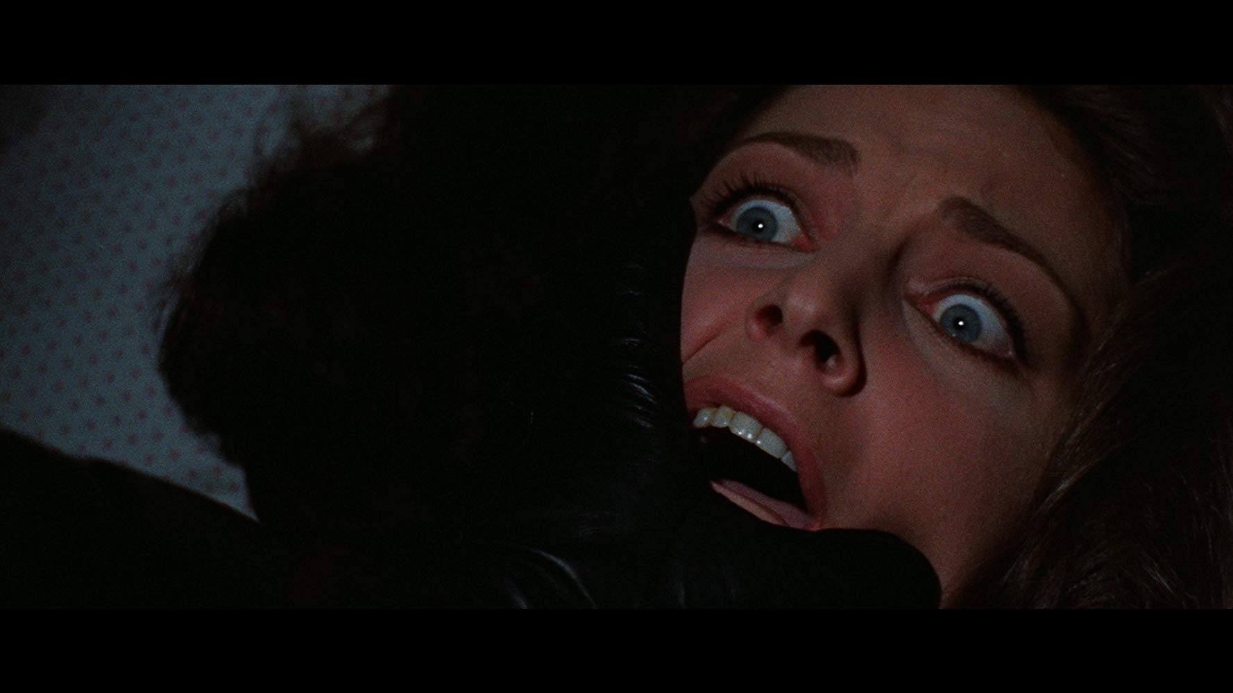 The Bird with the Crystal Plumage (1970)