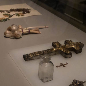 Bloodsuckers: legends To Leeches - Royal Ontario Museum