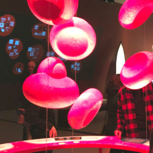 Bloodsuckers: legends To Leeches - Royal Ontario Museum