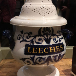 Bloodsuckers: legends To Leeches - Royal Ontario Museum