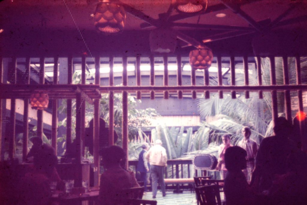 Deaths At Disney: Top 15 Deaths at Disney Theme Parks