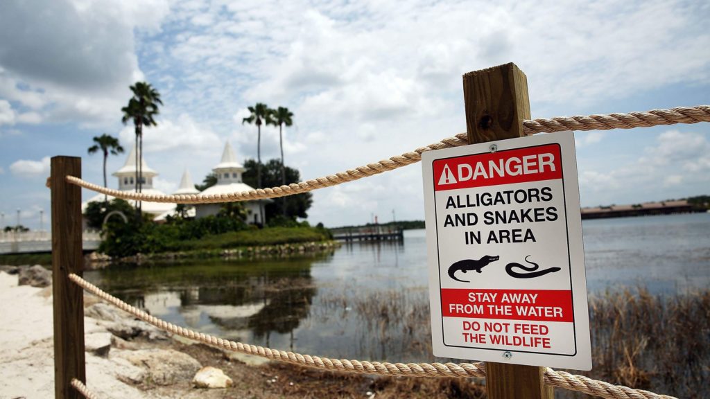 disney deaths - seven seas lagoon - aligator sign